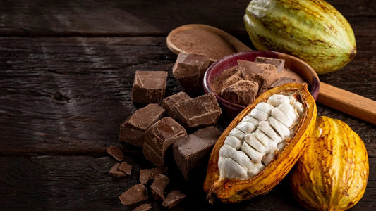 "Nature's GLP-1": How Chocolate is Revolutionizing Metabolic Health